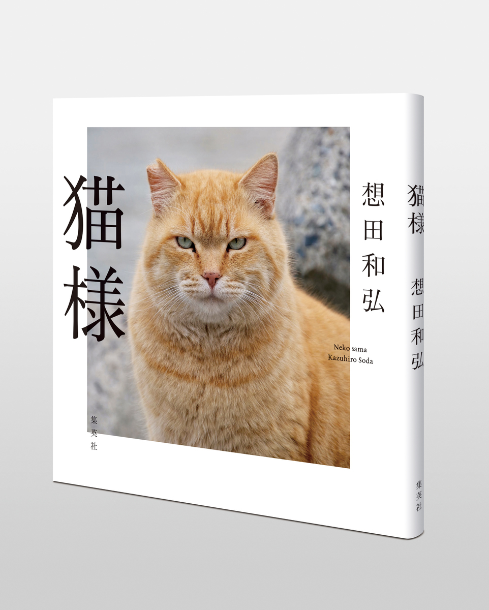 猫様 | Cat's Meow Books Virtual Shop β