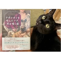 SALE！本棚と猫さんたち　　イラスト 黒猫 (立東舎 乙女の本棚) | エドガー・アラン・ポー, まくら