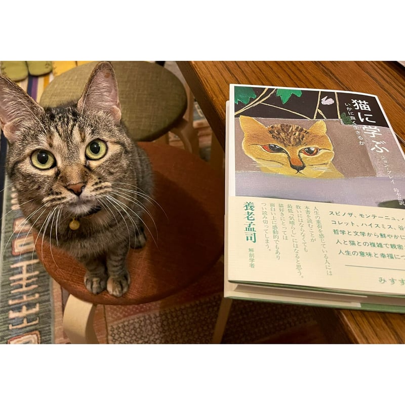 猫に学ぶ いかに良く生きるか | Cat's Meow Books Virtual Shop β