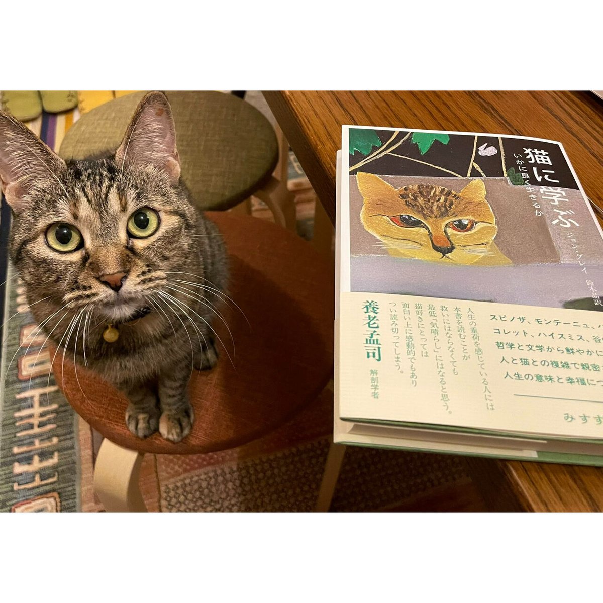猫に学ぶ いかに良く生きるか | Cat's Meow Books Virtual Shop β