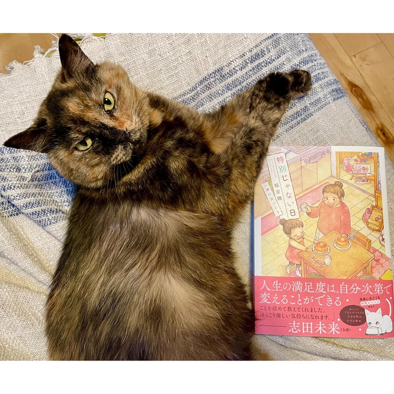 特別じゃない日 一緒に食べよう | Cat