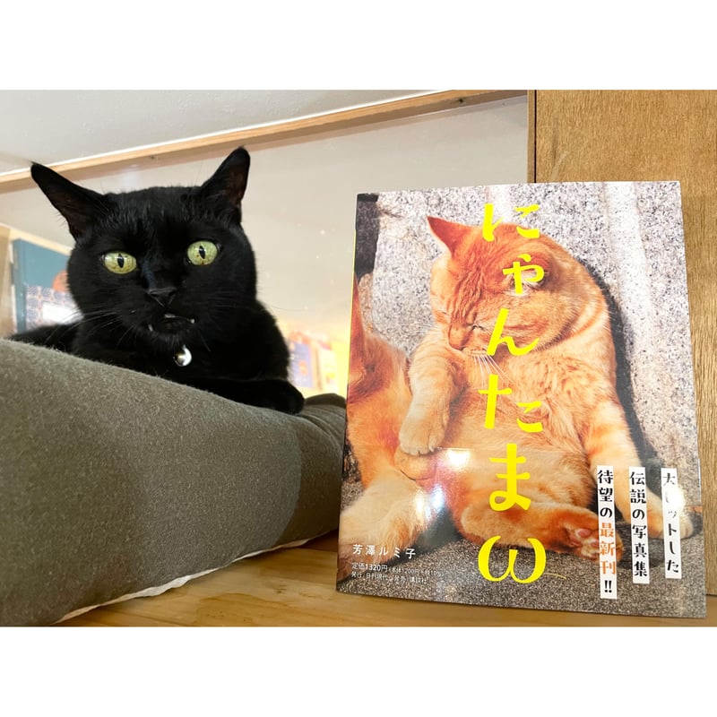 にゃんたまω | Cat's Meow Books Virtual Shop β