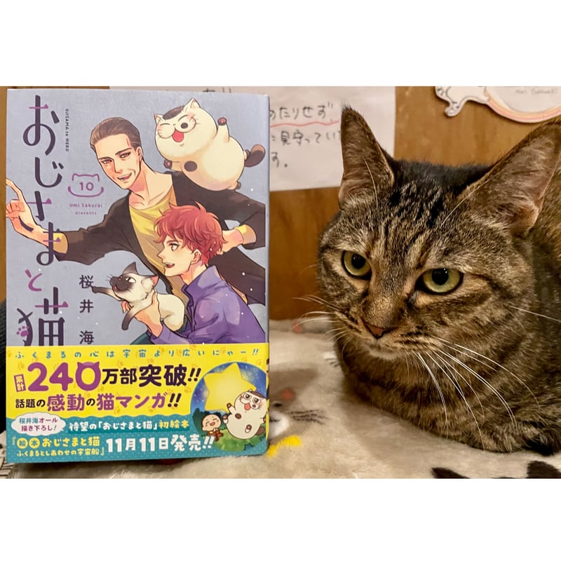 おじさまと猫（1～12巻） | Cat's Meow Books Virtual Shop β