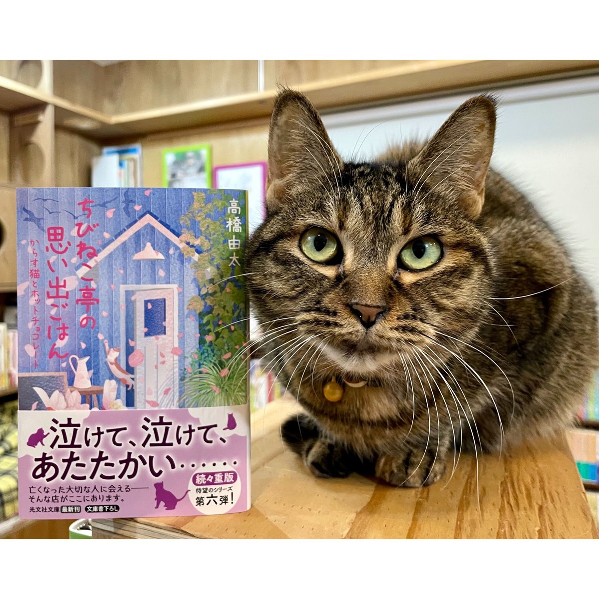 ちびねこ亭の思い出ごはん | Cat's Meow Books Virtual Shop β