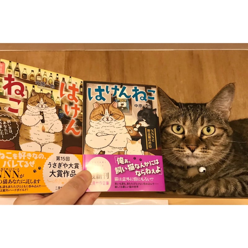 はけんねこ（全4巻） | Cat's Meow Books Virtual Shop β