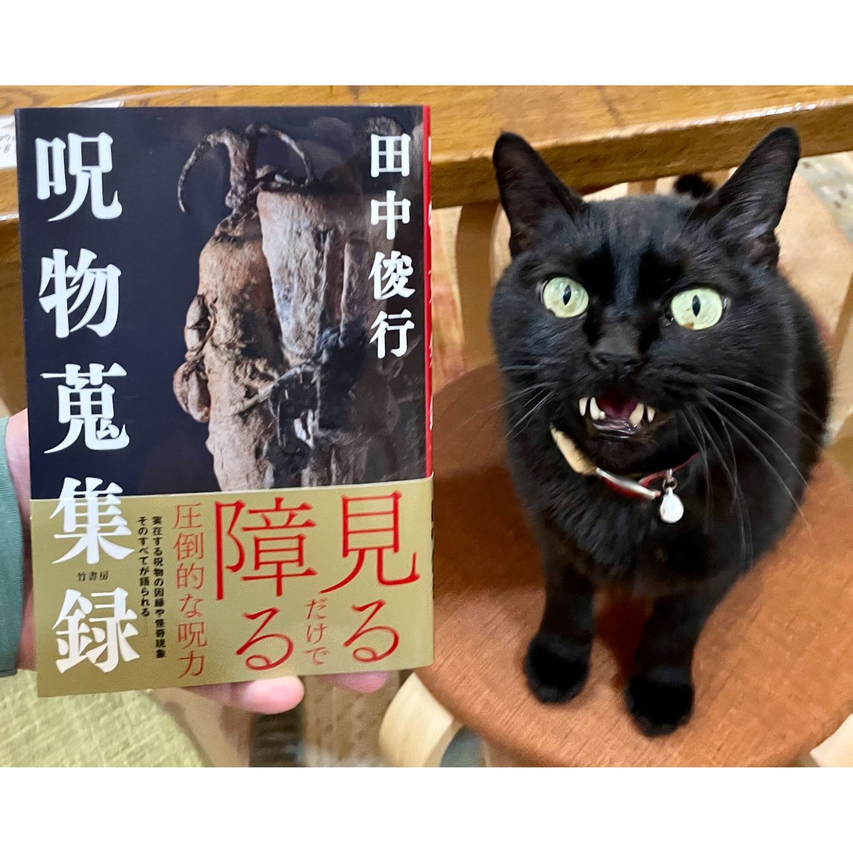 呪物蒐集録 | Cat's Meow Books Virtual Shop β