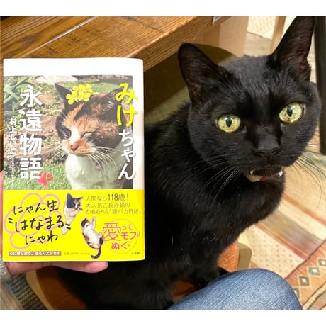 CATEGORY 2025年2月 | Cat's Meow Books Virtual Shop β