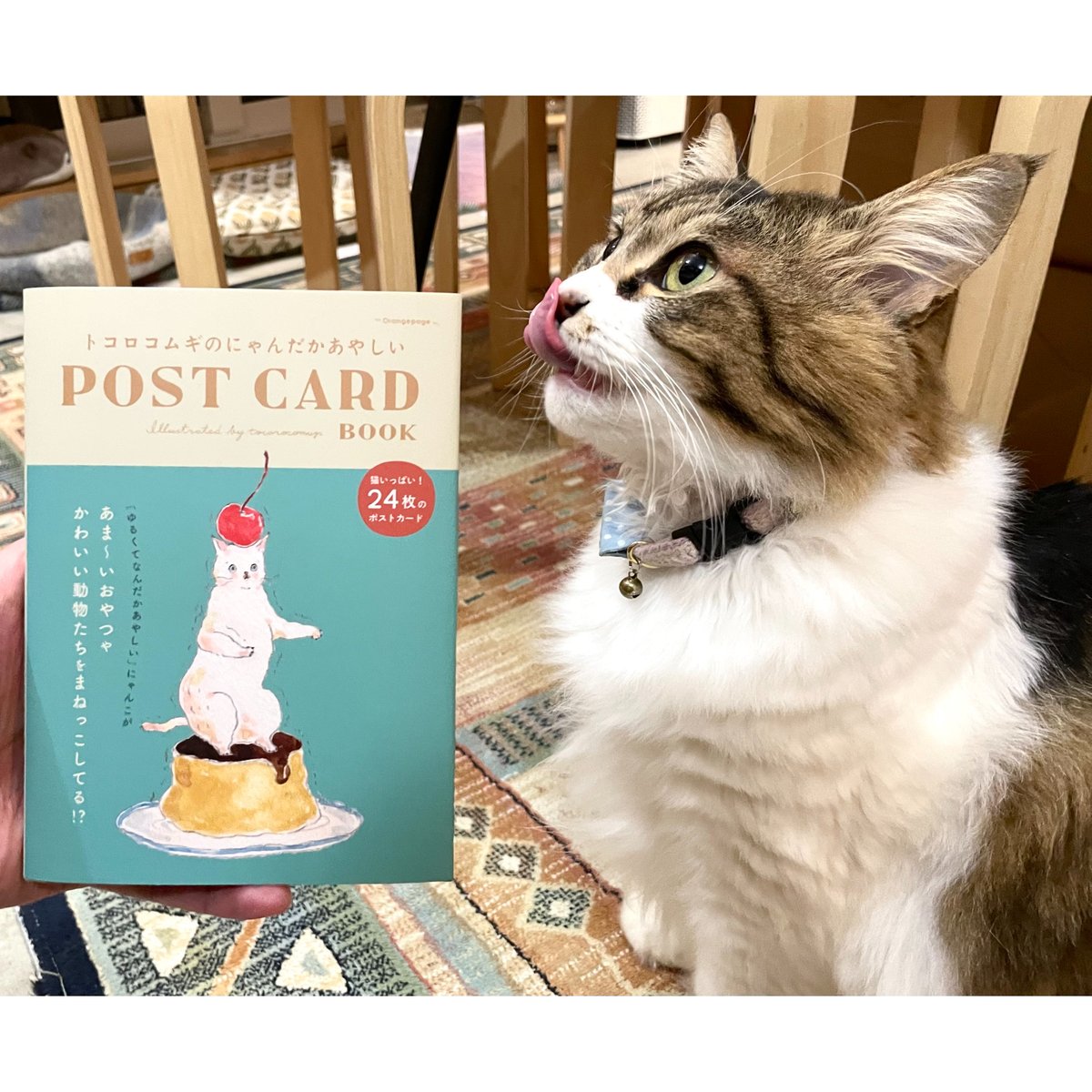 C106 ねこきゃとてぃくす 新刊 Thank You Book C106 ねこきゃとてぃくす 新刊 Thank You Book - メルカリ