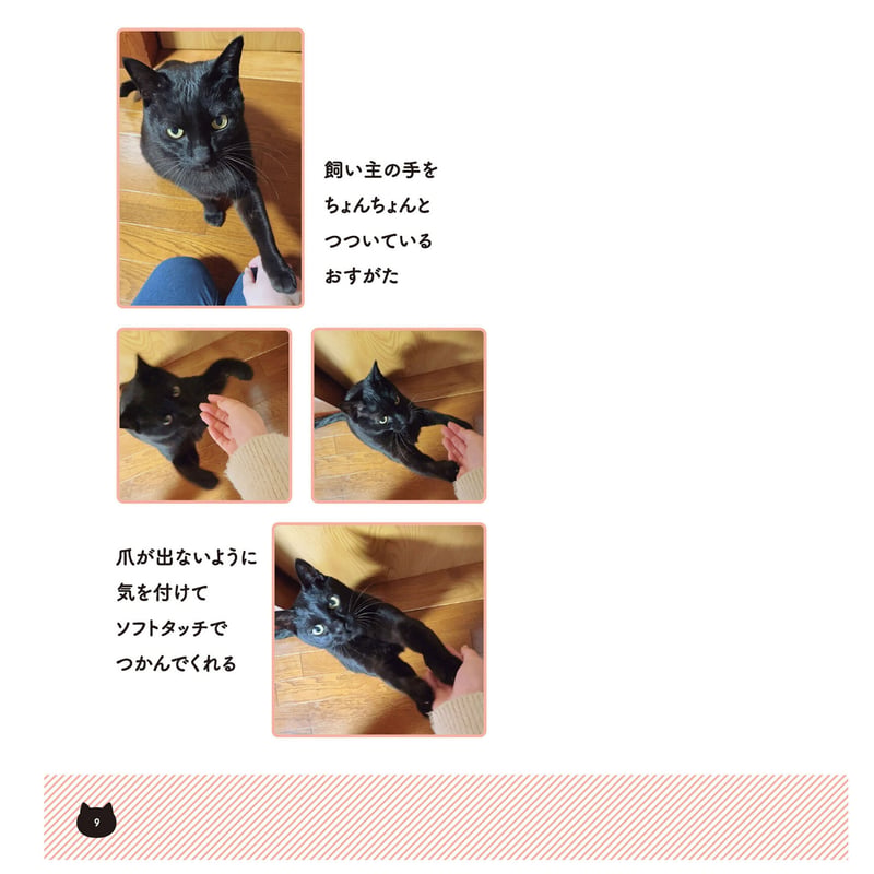 黒猫ろんと暮らしたら（1～7巻） | Cat's Meow Books Virtual Shop β