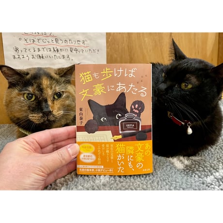 CATEGORY 黒猫表紙マニア | Cat's Meow Books Virtual Shop β