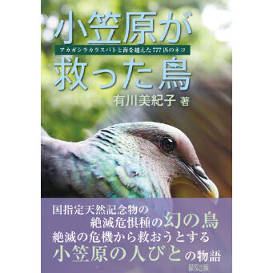 619eea66b8979f4868b336a7