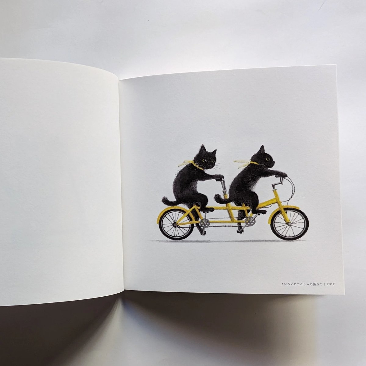 牧野千穂画集『some and every』 | Cat's Meow Books Virtu