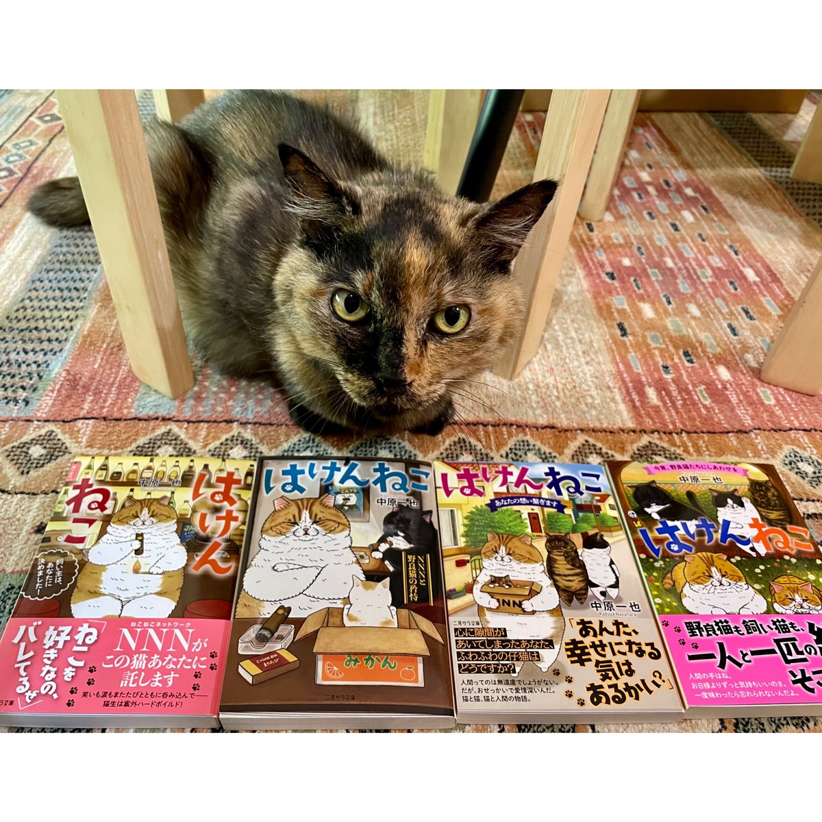 はけんねこ（全4巻） | Cat's Meow Books Virtual Shop β