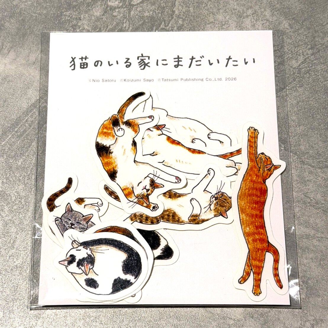 直筆サイン入り／特装版・通常版】猫のいる家にまだいたい | Cat's