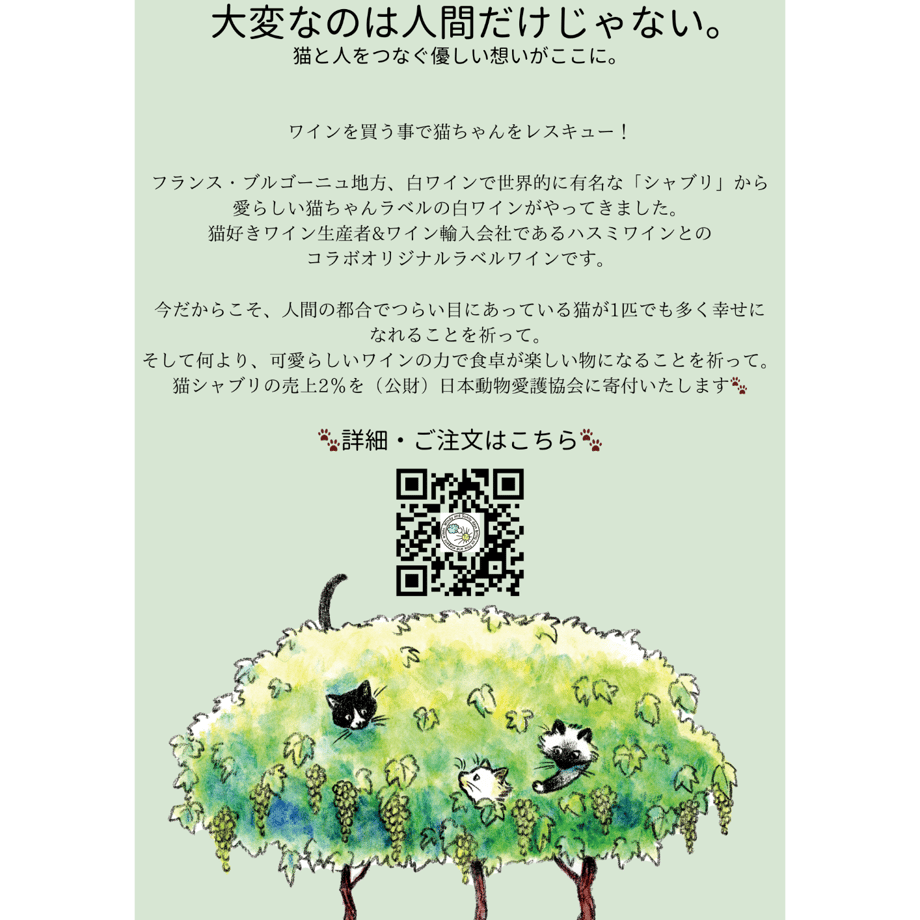 67dccf7982008935f60c4161
