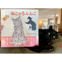 猫を愛でる近代 啓蒙時代のペットとメディア | Cat's Meow Books Virtua
