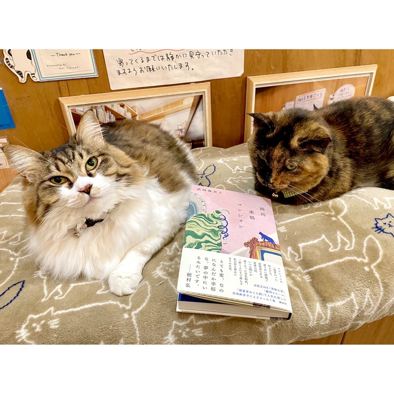 直筆サイン入り】西高東低マンション | Cat's Meow Books Virtual S