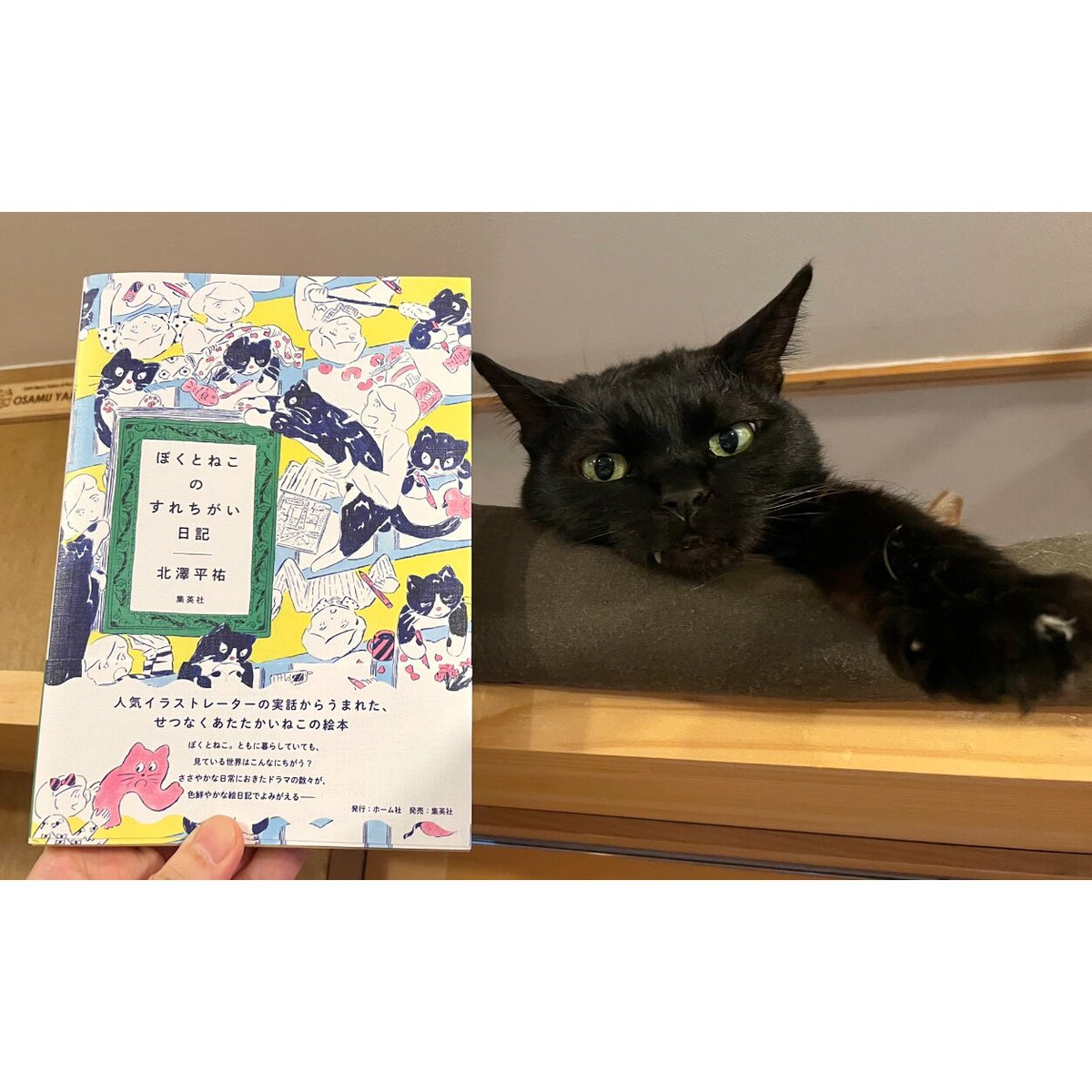 B5サイズ(小)複製画○猫とネコの絵本シリーズ○猫とネコのご挨拶