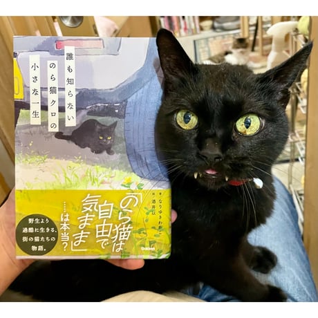 CATEGORY 黒猫表紙マニア | Cat's Meow Books Virtual Shop β