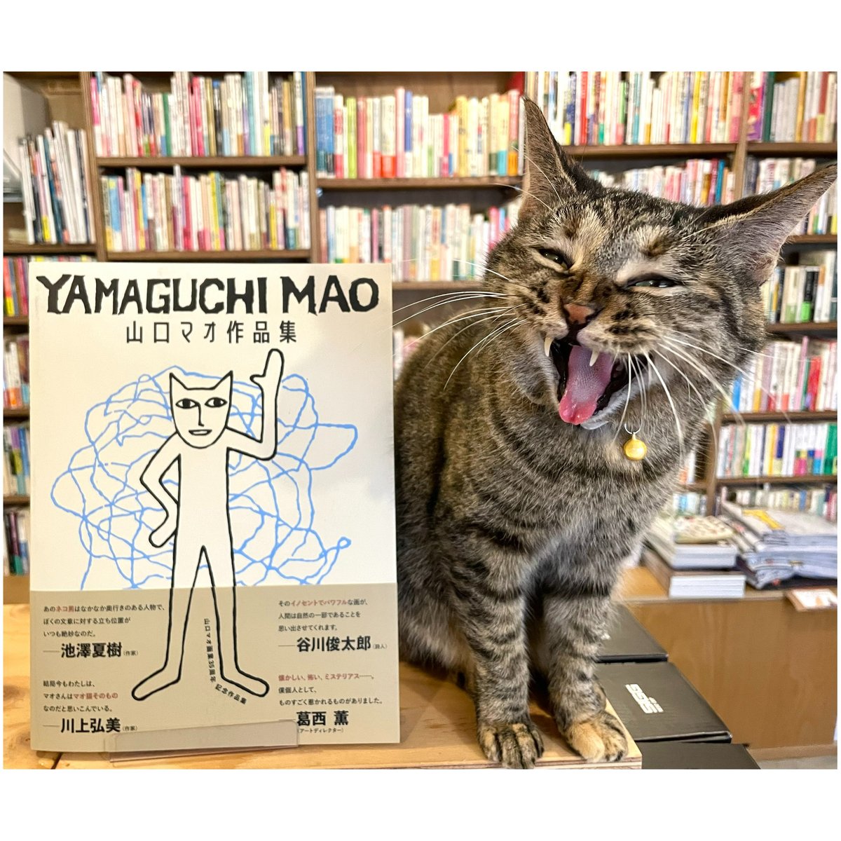 山口マオ作品集 | Cat's Meow Books Virtual Shop β