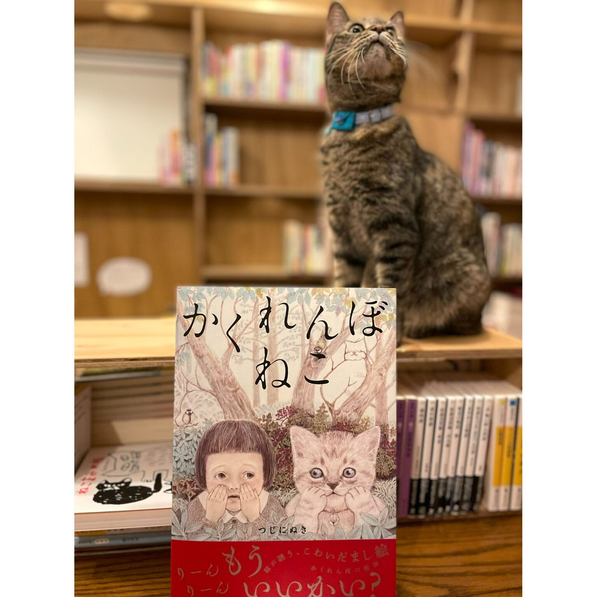 fit=scale-down,w=1200