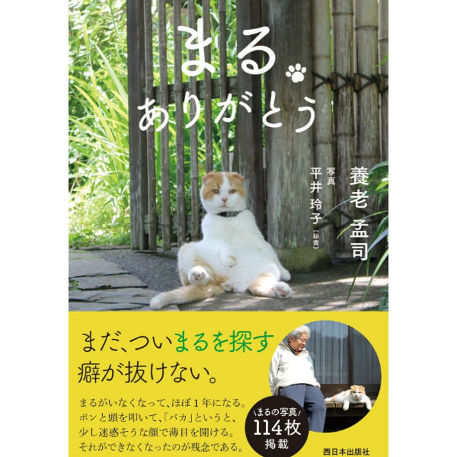 62120a57110dda6d3d53ac4c