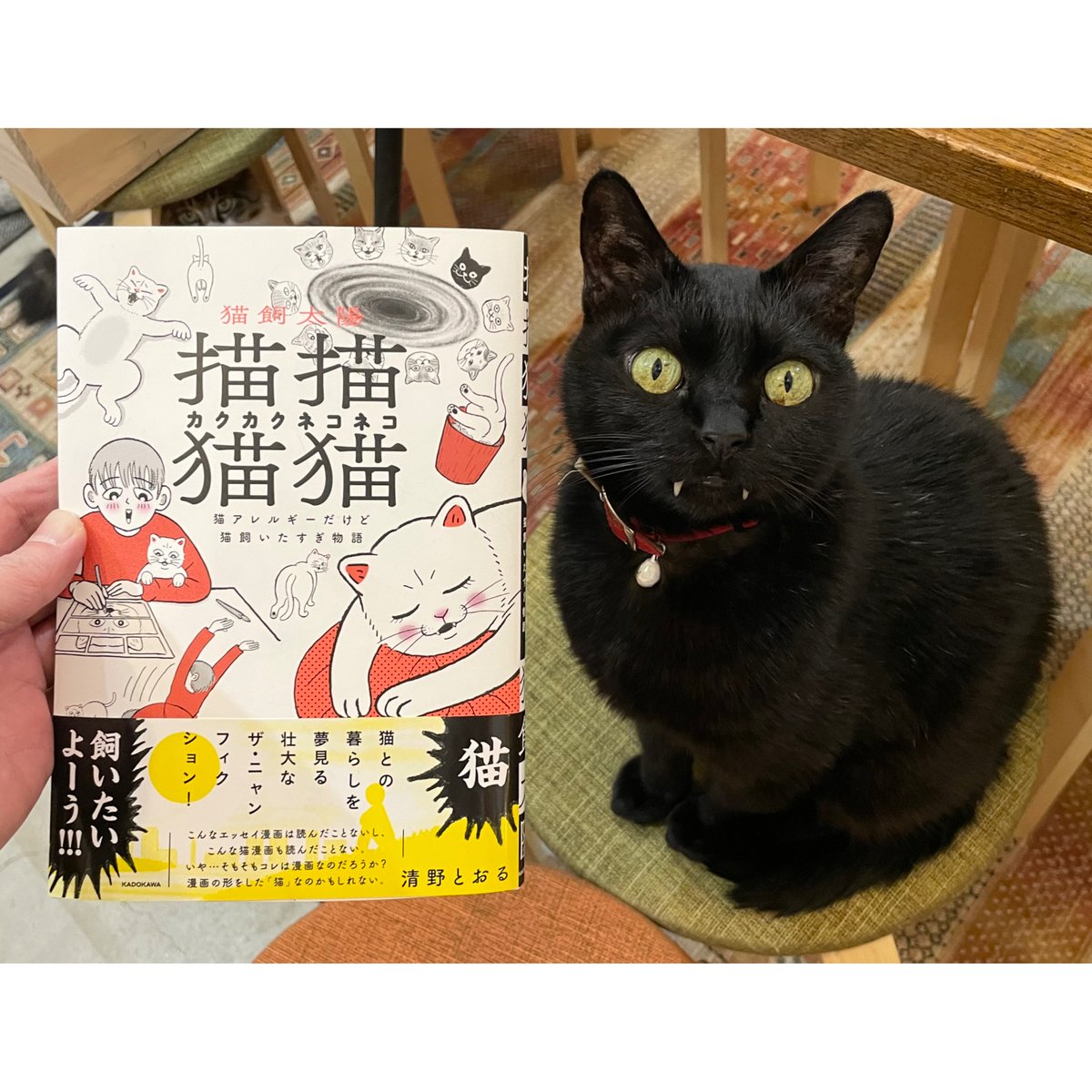 【猫を飼っている人 猫アレルギーじゃない人限定】 東京西川 AIR 01シングル 猫を飼っている人 猫アレルギーじゃない人限定】 東京西川 AIR