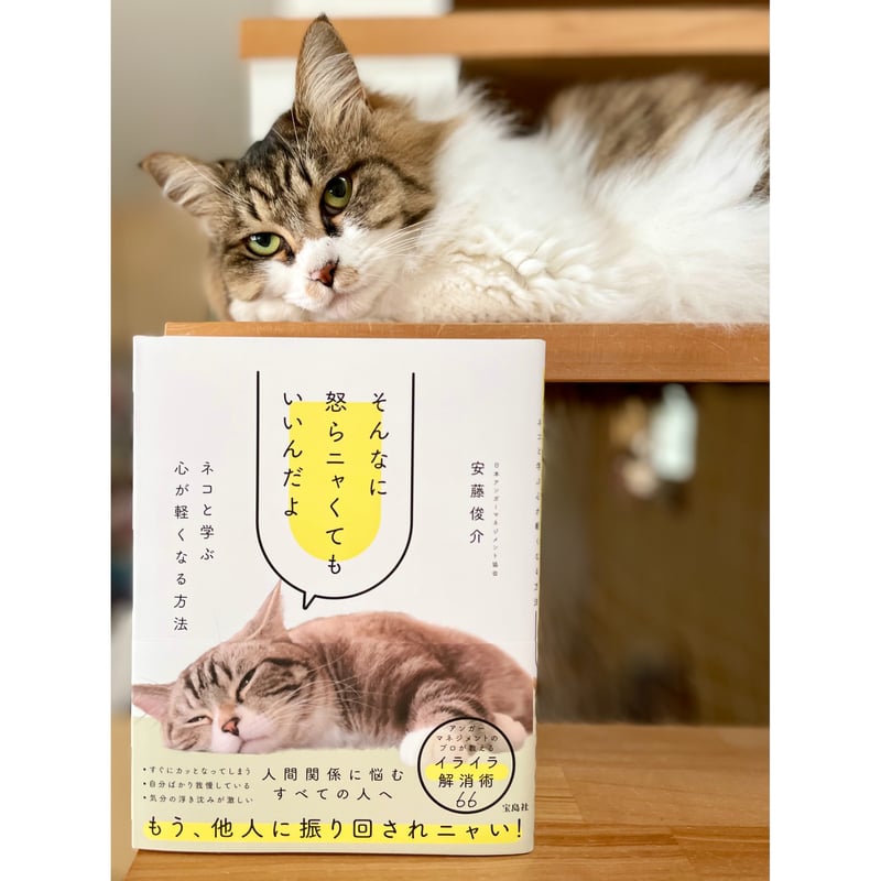 そんなに怒らニャくてもいいんだよ | Cat's Meow Books Virtual Shop β