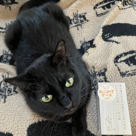黒猫みんと様 黒猫みんと様 みんとにゃ (@mintonya23) / X