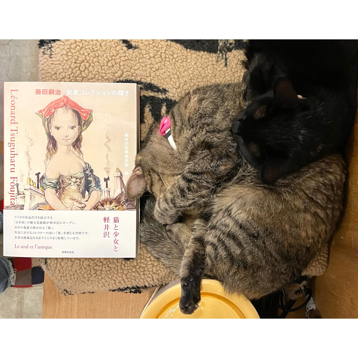 Cat's　安東コレクションの輝き　Shop　β　Books　Meow　藤田嗣治　Virtual