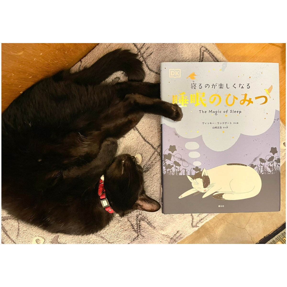 寝るのが楽しくなる 睡眠のひみつ | Cat's Meow Books Virtual Shop β