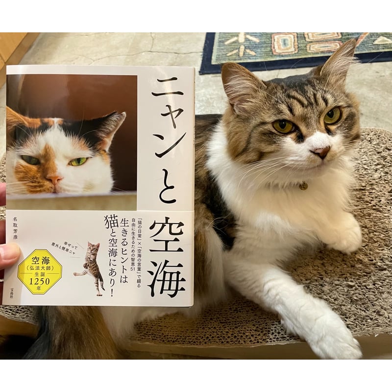 ニャンと空海 | Cat's Meow Books Virtual Shop β