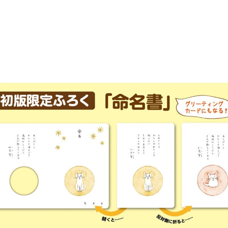 これから猫を飼う人に伝えたい11のこと | Cat's Meow Books これから猫を飼う人に伝えたい11のこと | Cat's Meow Books