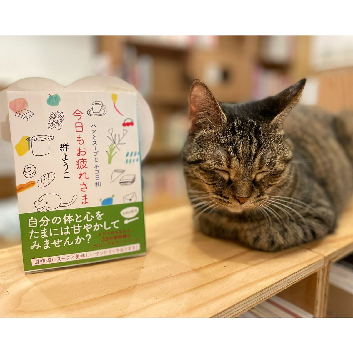 Books　Cat's　今日もお疲れさま　Meow　パンとスープとネコ日和　Virtual...