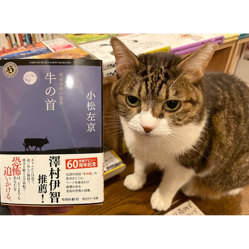 厳選恐怖小説集 牛の首 | Cat