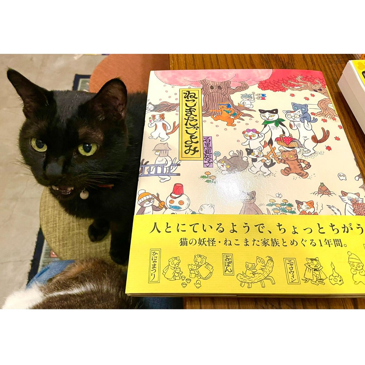 hongama ホンガマゴーストキャットネコねこ猫cat 陶器