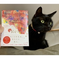 同一性と個体 種別概念に基づく統一理論に向けて | Cat's Meow Books