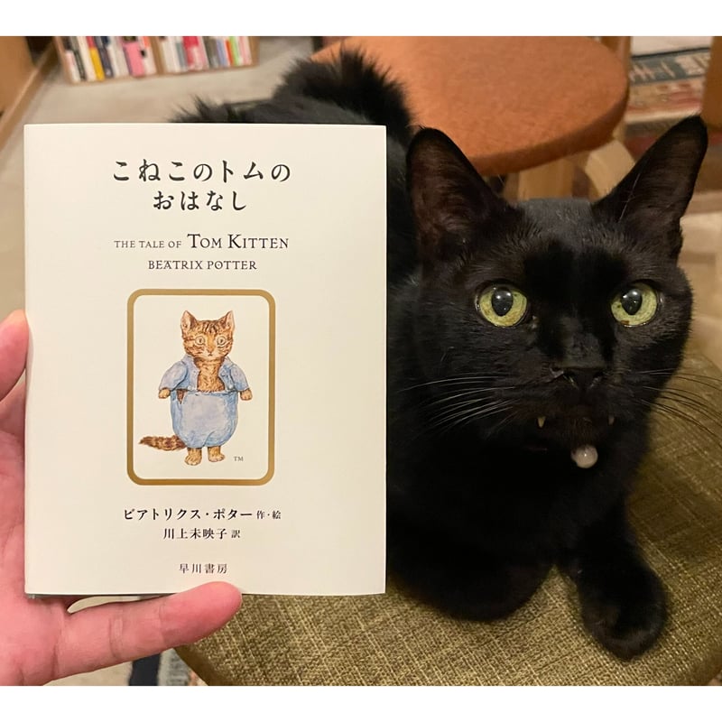こねこのトムのおはなし（川上未映子訳／早川書房） | Cat's Meow