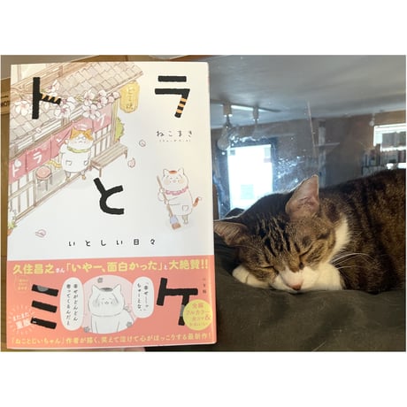 CATEGORY 一期一会の直筆サイン入り | Cat's Meow Books Virtua CATEGORY 一期一会の直筆サイン入り | Cat's Meow Books Virtua
