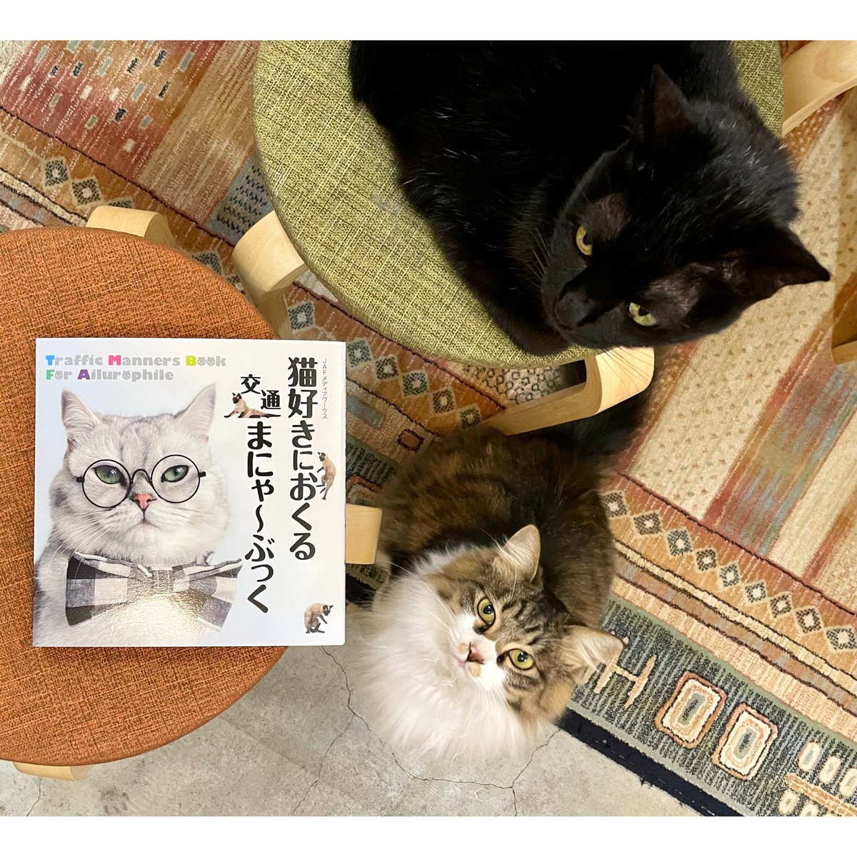 猫好きにおくる交通まにゃ~ぶっく | Cat's Meow Books Virtual 猫好きにおくる交通まにゃ~ぶっく | Cat's Meow Books Virtual