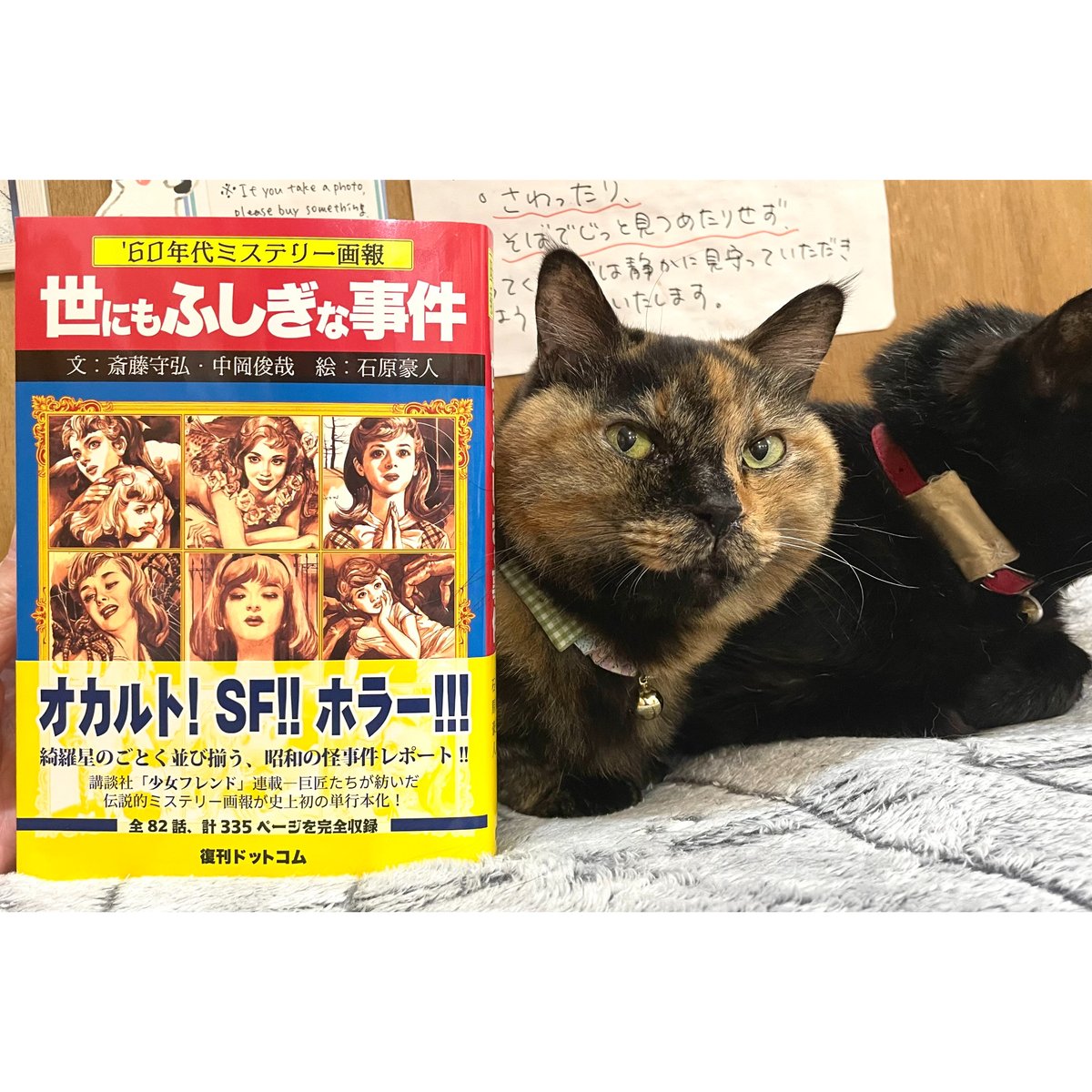 60年代ミステリー画報 「世にもふしぎな事件」 | Cat's Meow