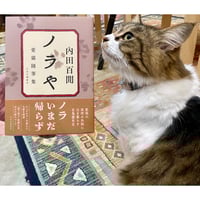 猫にまつわるコトバがぜんぶわかる！ねこまみれ事典 | Cat's
