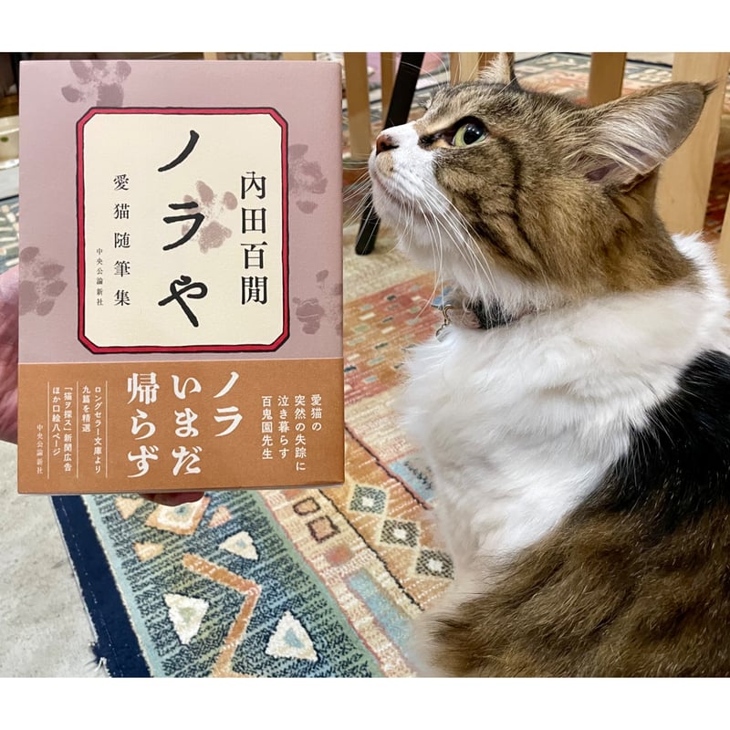 ノラや 愛猫随筆集 | Cat