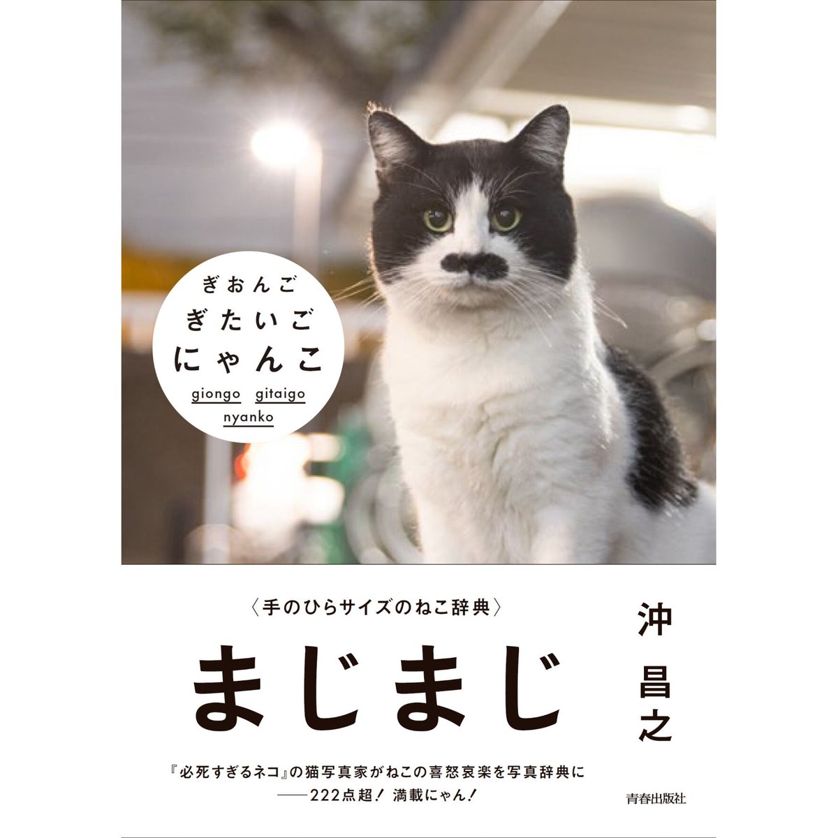 【中古】 かわいい子猫の大行進 思わずだきしめたくなる！/立風書房 中古】 かわいい子猫の大行進 思わずだきしめたくなる！ （立風