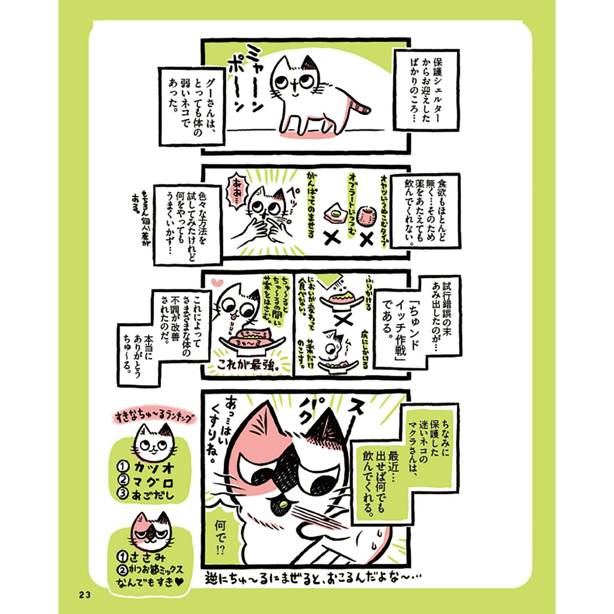 ねこおばあさんぼく | Cat's Meow Books Virtual Shop β