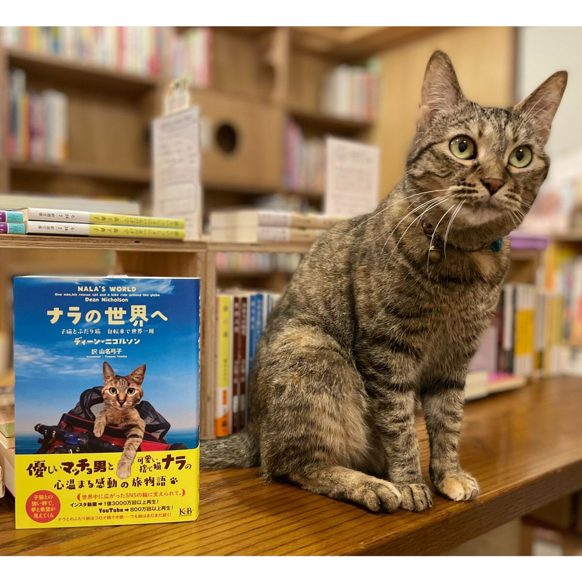 ナラの世界へ | Cat's Meow Books Virtual Shop β