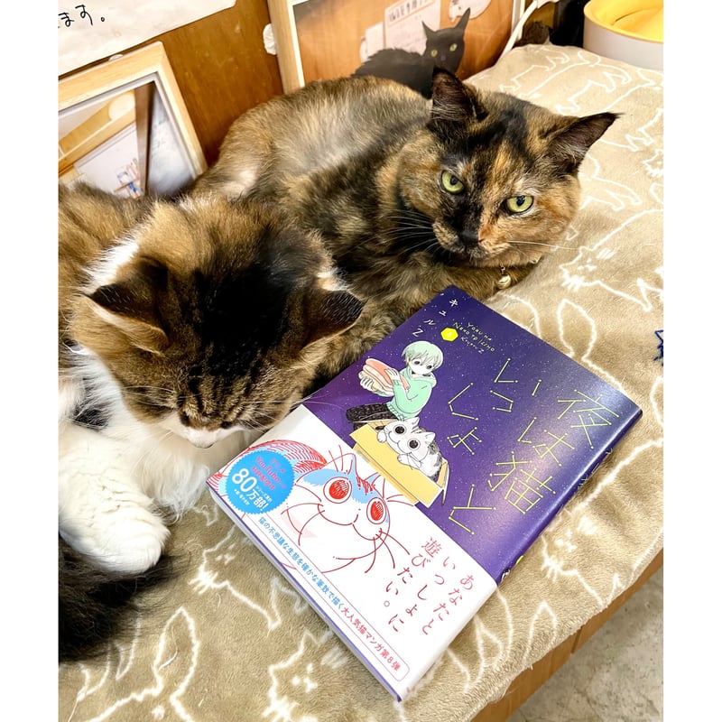 夜は猫といっしょ（1～8巻） | Cat's Meow Books Virtual Shop β