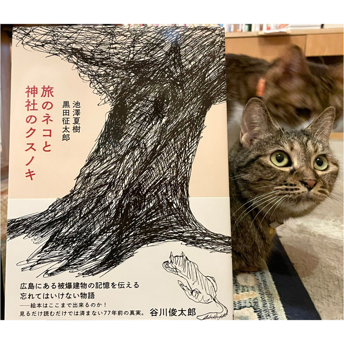 黒田征太郎猫