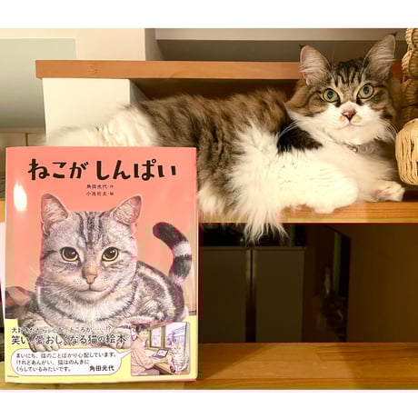 みゃうさん専用　11本 Cat's Meow Books Virtual Shop β