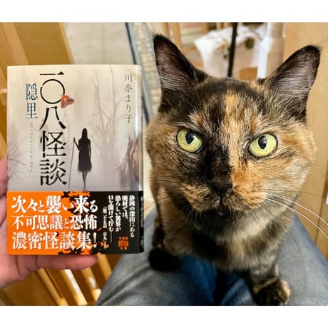新品 人気 Max Meow 3冊セット 夢の猫本屋ができるまで Cat's Meow Books | 井上 理津子, 安村